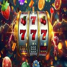 z28 Bingo